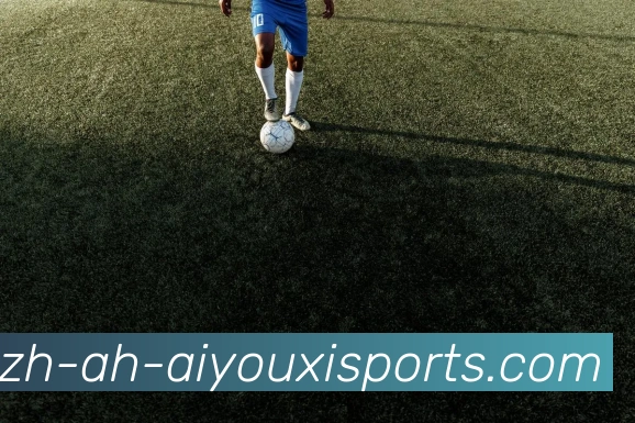 爱游戏体育品牌故事