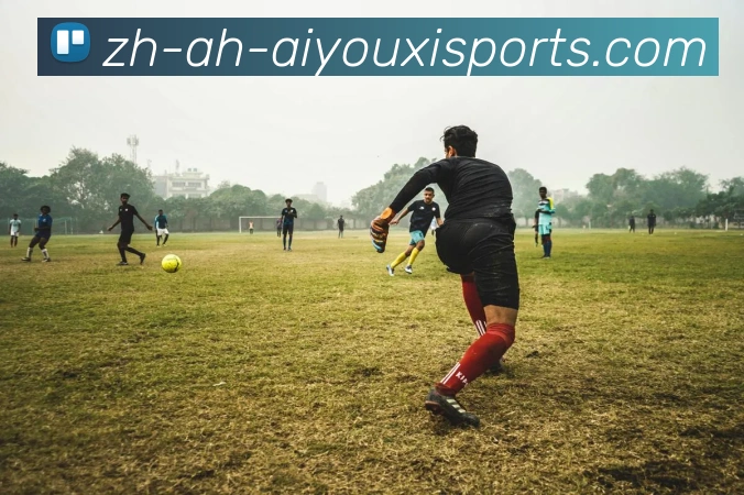 爱游戏体育服务体系